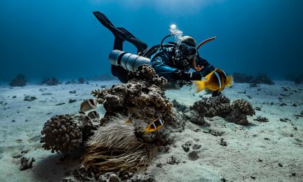 Buceo: La Mejor Manera de Explorar la Isla de Gozo