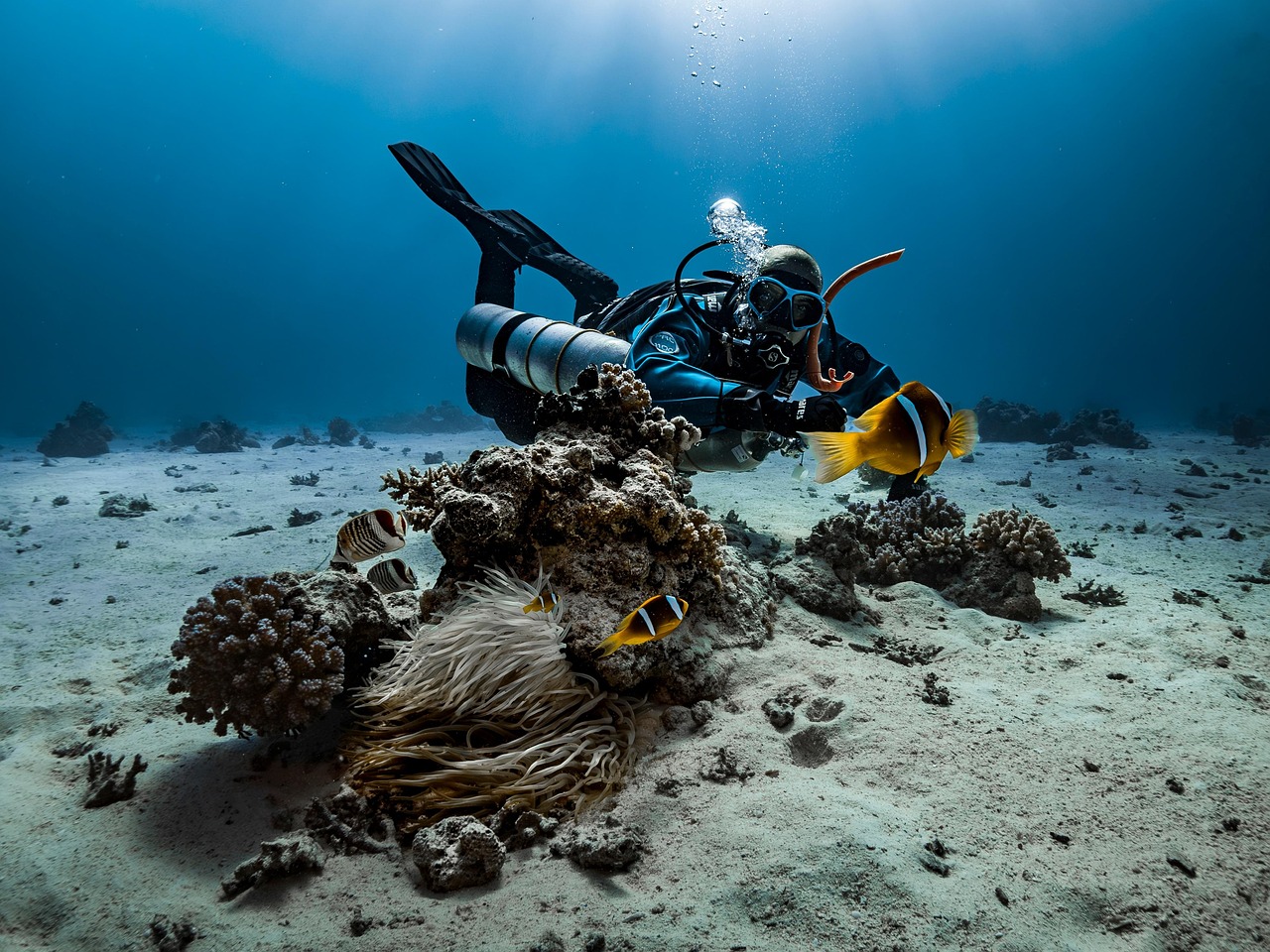 Scuba Diver Canales de Estocolmo