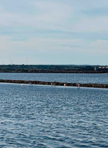 Marismas-de-Huelva Castillo de Edimburgo