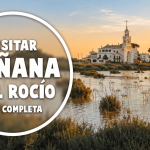 Visitar Doñana: qué ver, cómo hacer la excursión y ruta por El Rocío