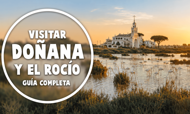Visitar Doñana: qué ver, cómo hacer la excursión y ruta por El Rocío
